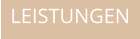LEISTUNGEN